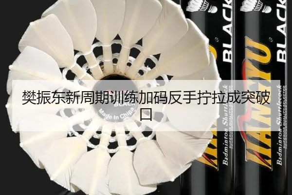 樊振东新周期训练加码反手拧拉成突破口